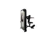 Nautilus Dip Machine Impact
