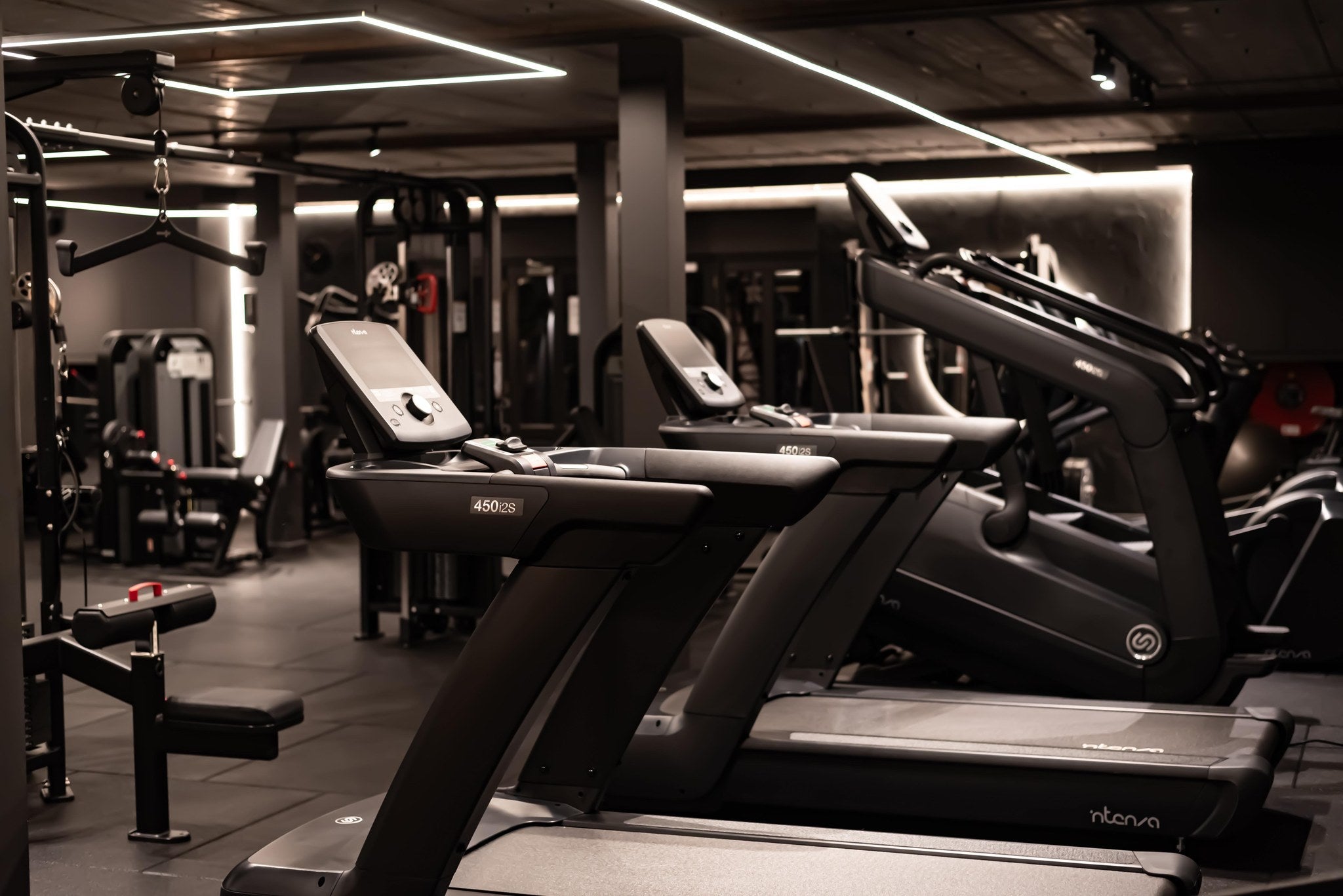 De opkomst van de boutique gym