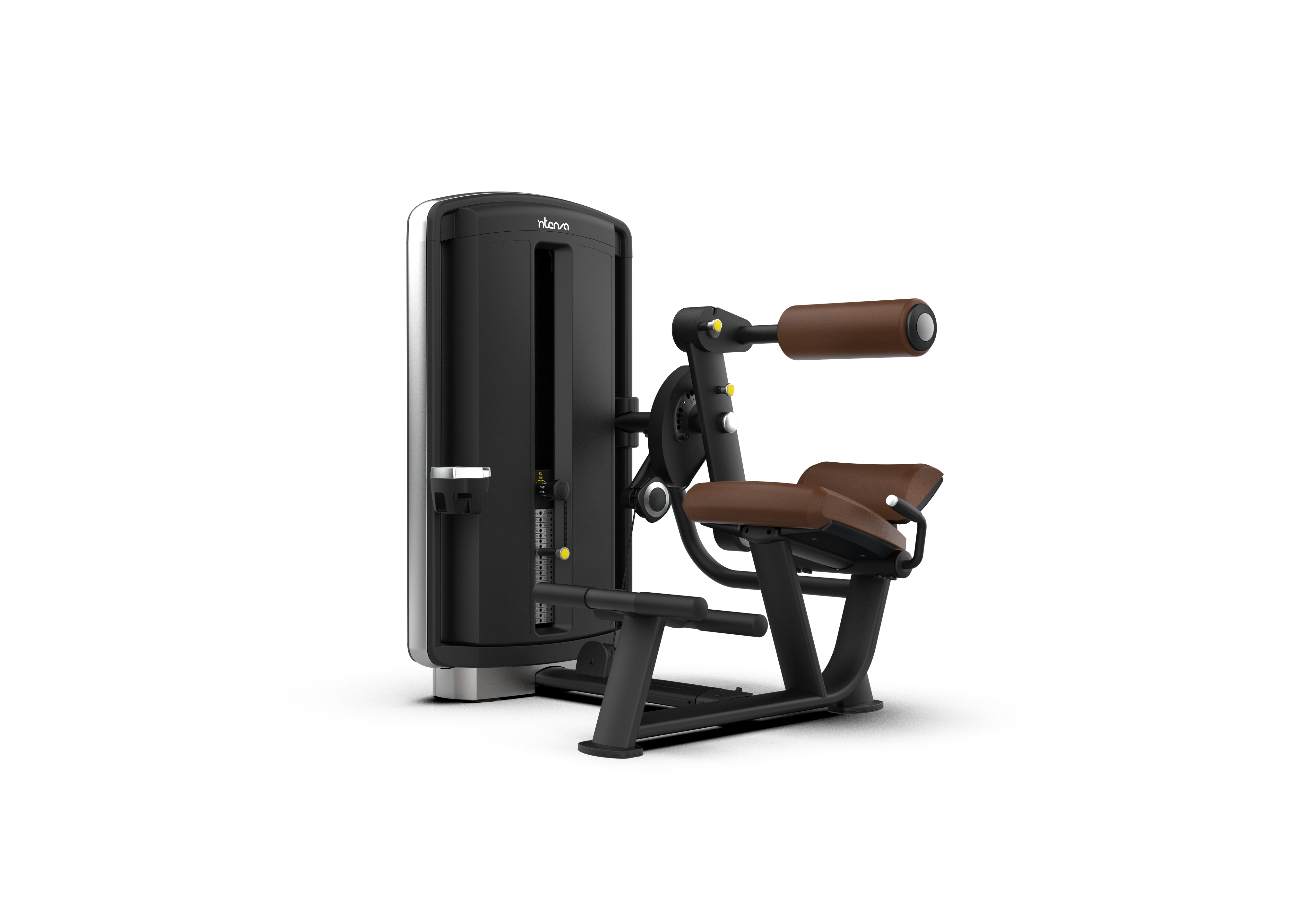Intenza-DD-03-Abdominal-Back-Extension.png