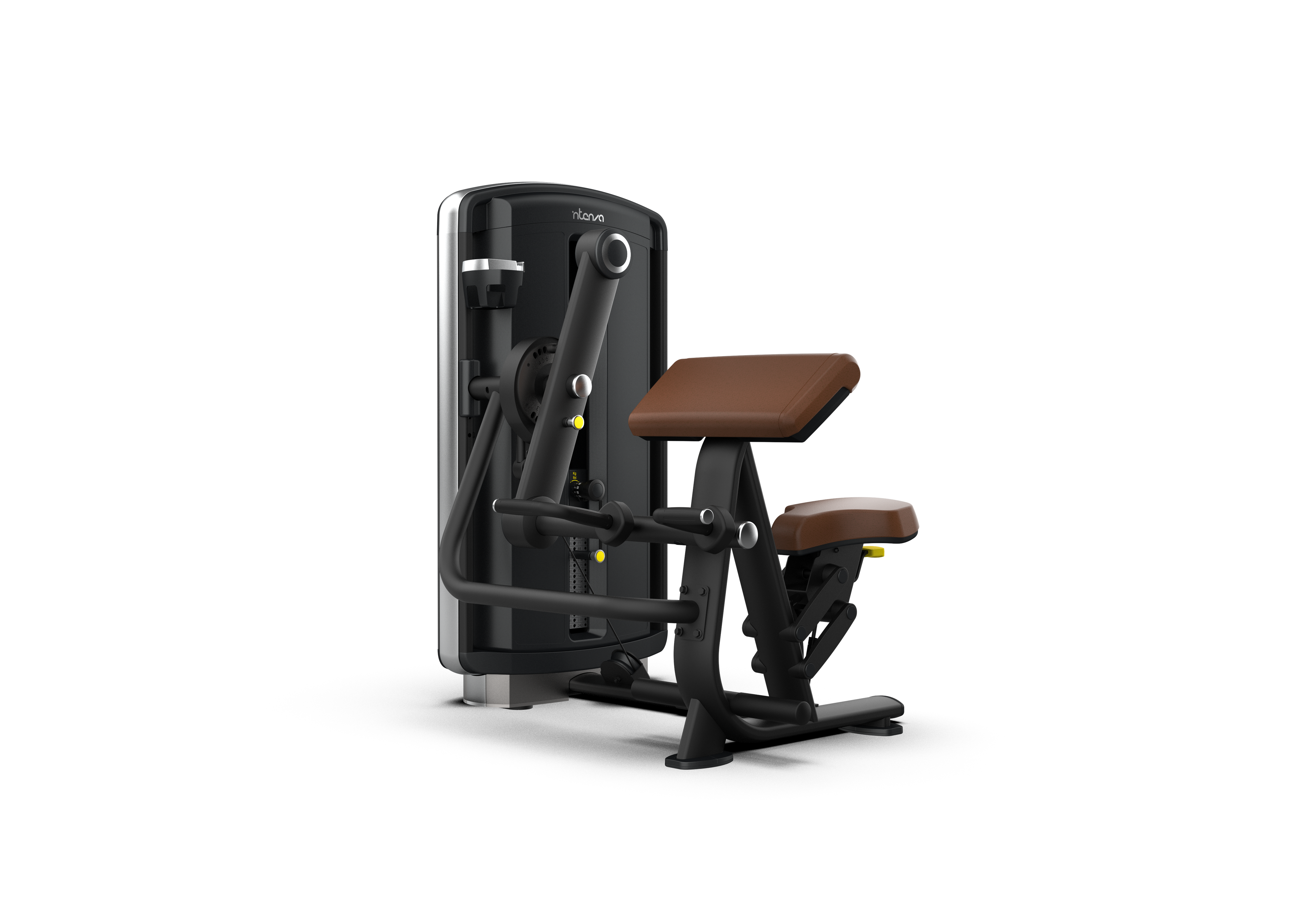 Intenza Biceps / Triceps Dezign Dual Line