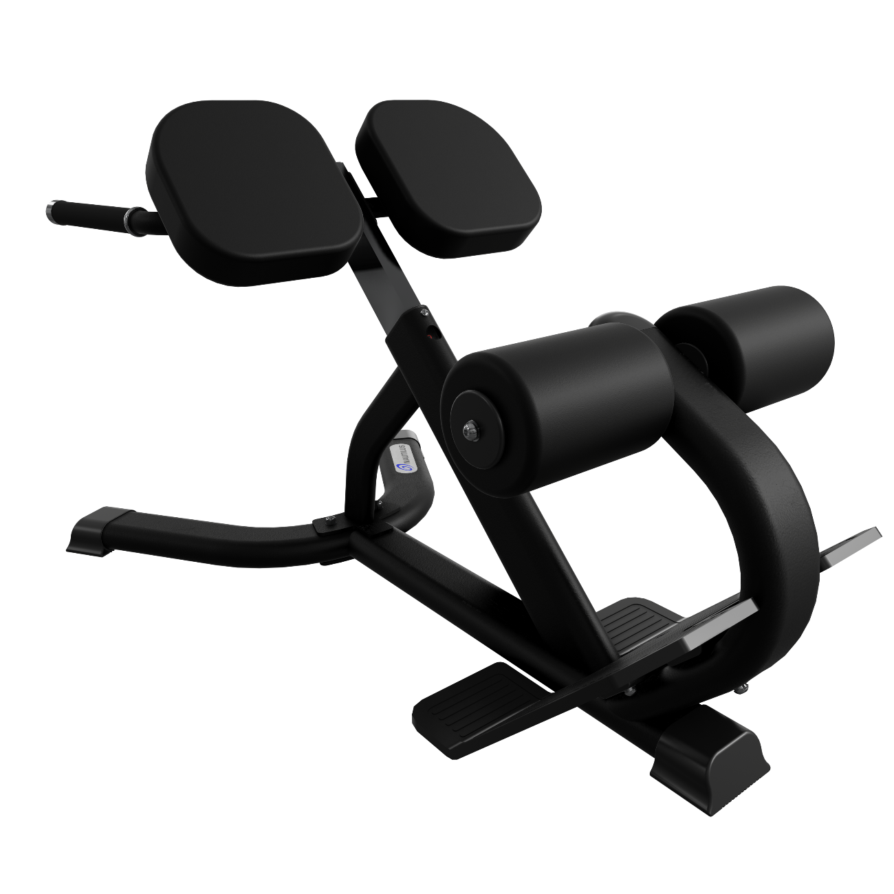 Nautilus 45 deg Back Extension 