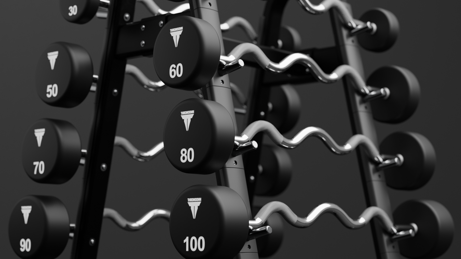 Throwdown EZ Curl Barbell Set