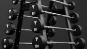Throwdown Straight Barbell Set