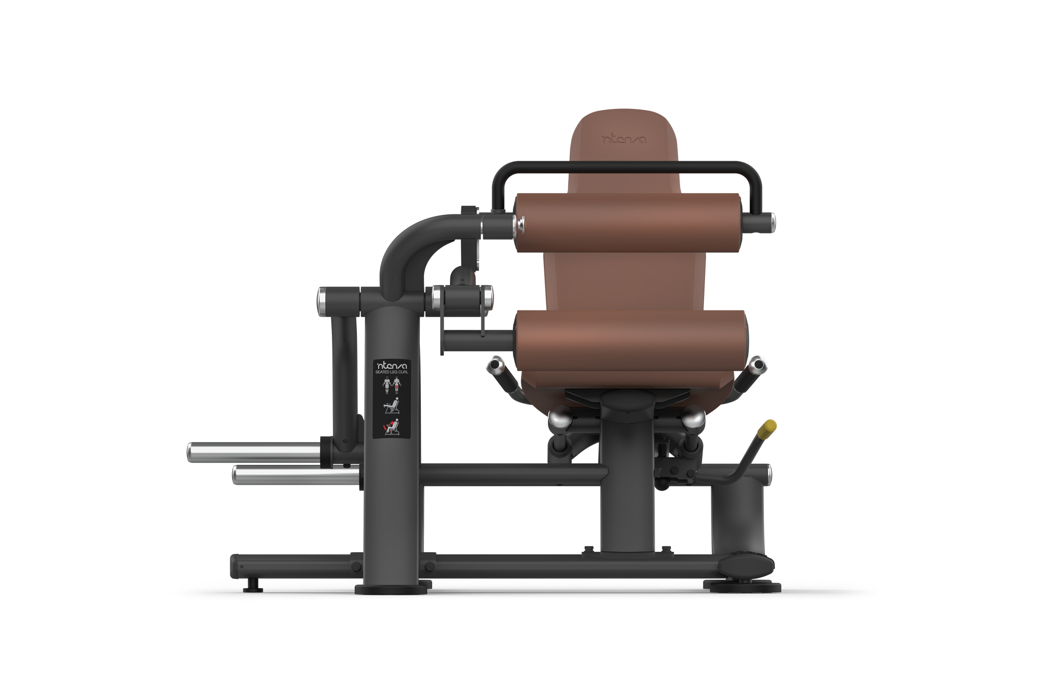 Intenza Seated Leg Curl Zone Line