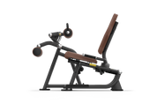 Intenza Seated Leg Curl Zone Line