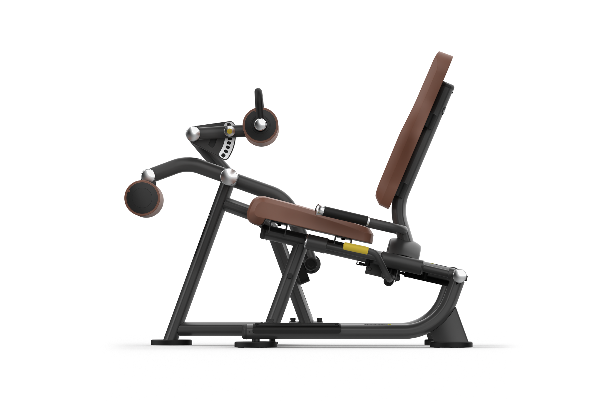 Intenza Seated Leg Curl Zone Line