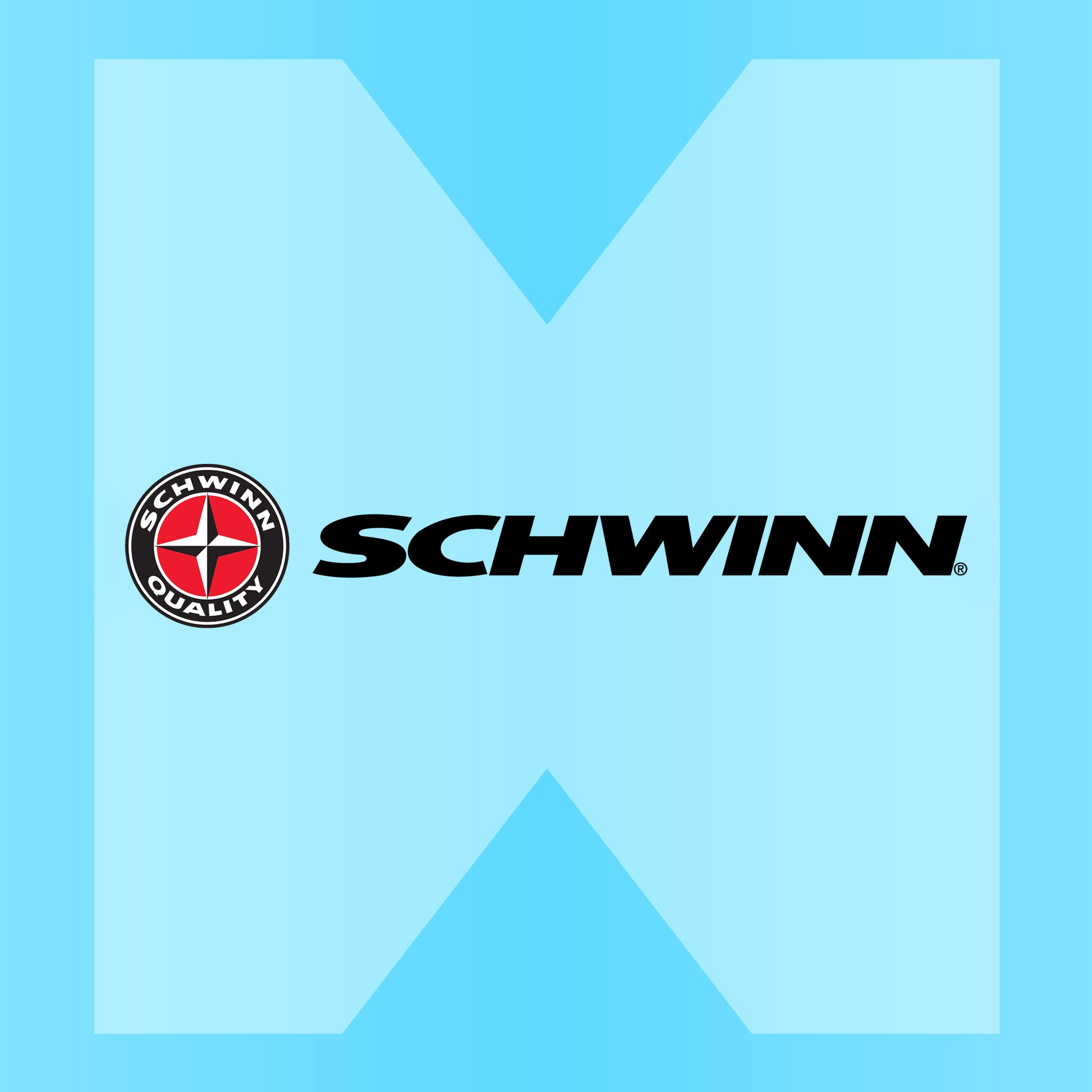schwinn_17fab9c6-c11a-47c2-a95e-7dccd09fe836.jpg